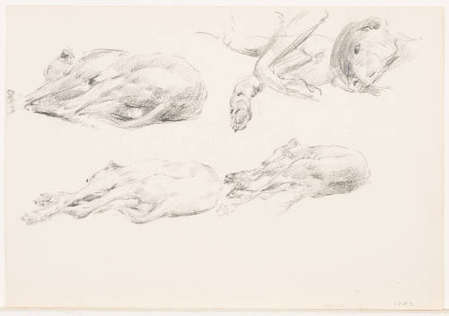 Dogs (recto). Doorway Scene (verso)