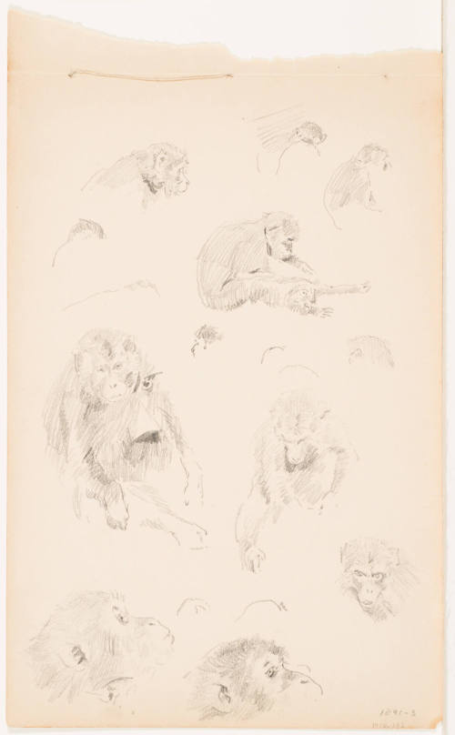 Monkeys (recto), Seated Figure (verso)