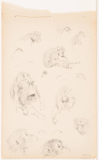 Monkeys (recto), Seated Figure (verso)