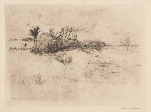 Cincinnati Landscape