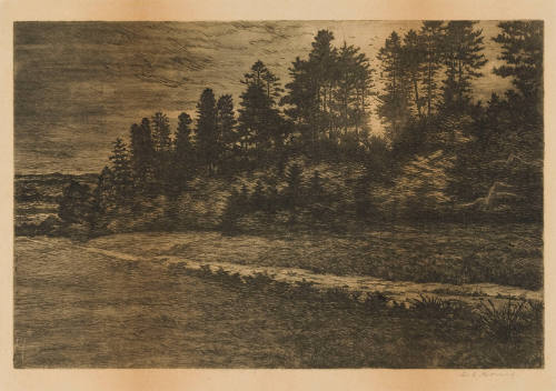 Landscape