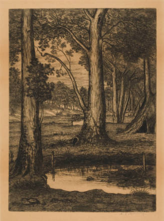 Landscape - Forest Scene