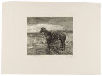 In the Enemy's Country