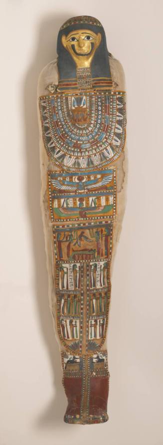 Mummified Remains of an Adult Male Named Mn