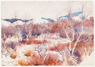 The Dunes in Winter