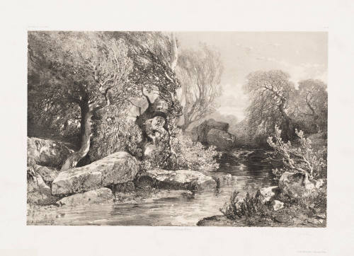 A Mountain Stream