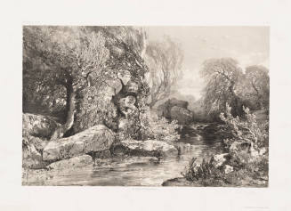 A Mountain Stream