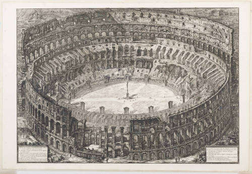 The Colosseum. Bird's Eye View