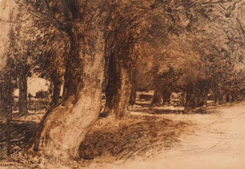 Study of Beech Trees, Schleissheim, Near Munich