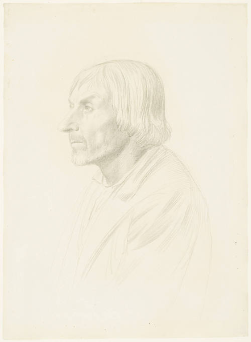 Head of a Bearded Man