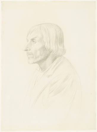 Head of a Bearded Man