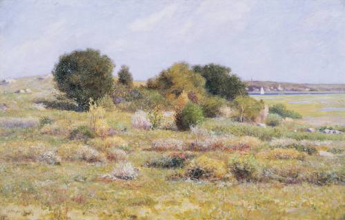 Salt Marsh, Cape Ann