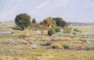 Salt Marsh, Cape Ann