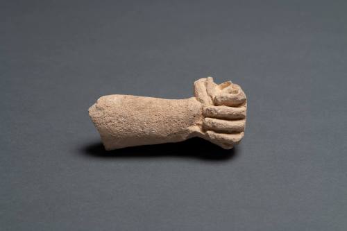 Hand and Fragment of Forearm