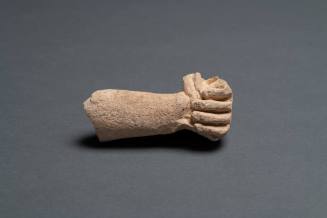 Hand and Fragment of Forearm