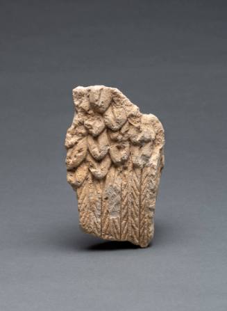Fragment of Wing of Eagle