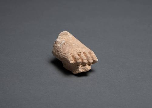 Foot