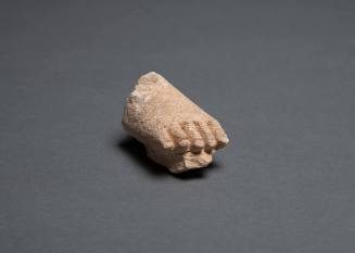 Foot