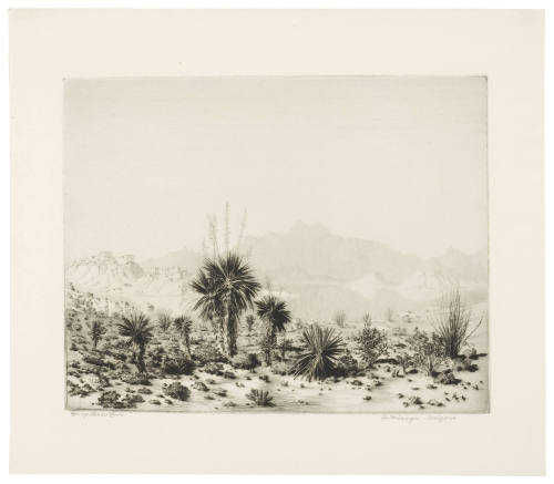 A Mirage, Arizona