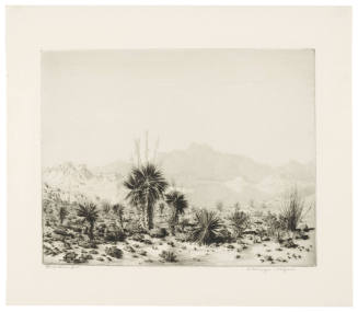 A Mirage, Arizona