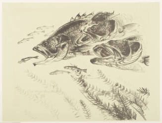 Black Bass and Minnows