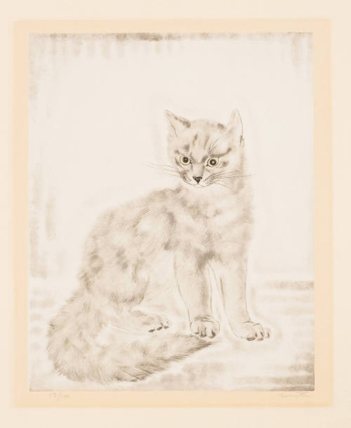 Seated Cat [Chat assis]