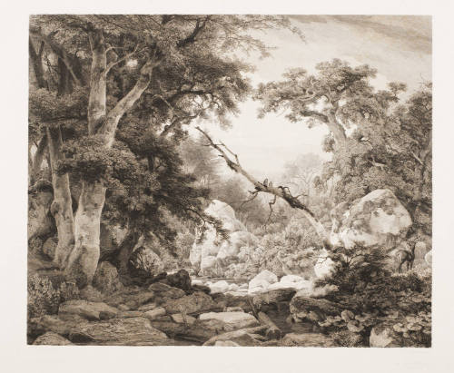 Landscape, DÃ¼sseldorf