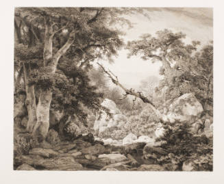 Landscape, DÃ¼sseldorf