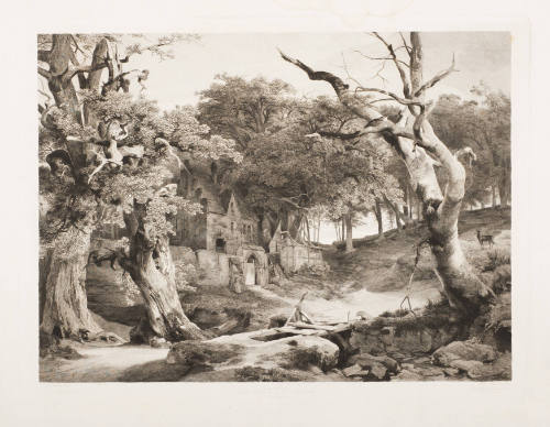 Landscape, DÃ¼sseldorf