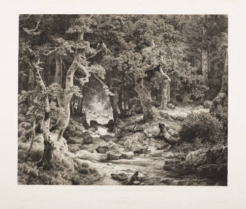 Landscape, DÃ¼sseldorf