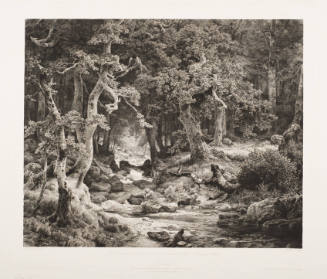 Landscape, DÃ¼sseldorf