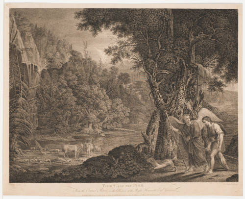 Tobit and the Fish