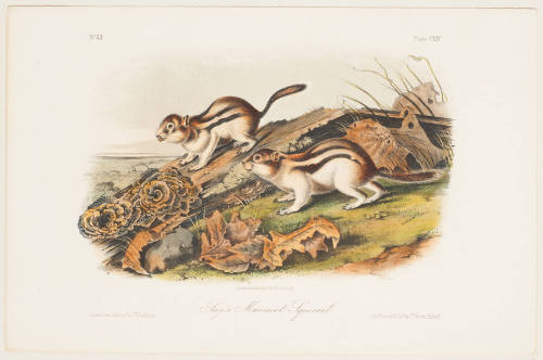 John James Audubon