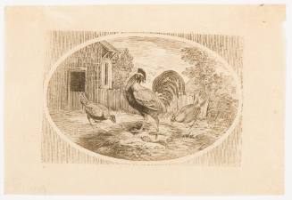 The Cock and the Jewel