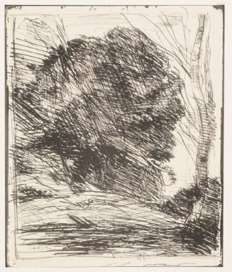 Les Arbres Dans La Montagne