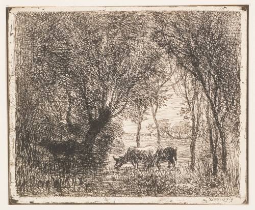 Cowns in the Woods [Vaches sous bois]