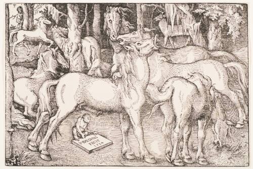 Hans Baldung