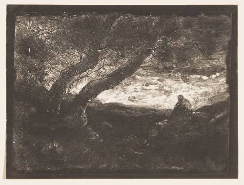 The Dreamer [Le Songeur]