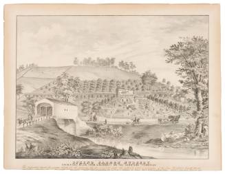 Spring Garden Nursery