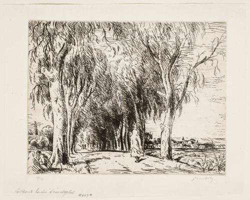 The Route Bordered by Eucalyptus [La Route bordée d'eucalyptus]