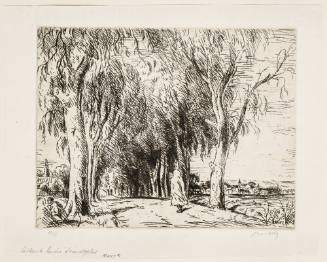 The Route Bordered by Eucalyptus [La Route bordée d'eucalyptus]