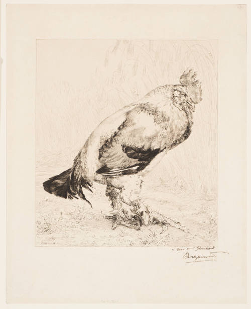 The Old Cock [Le vieux coq]