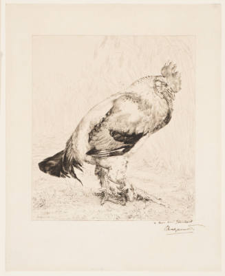 The Old Cock [Le vieux coq]