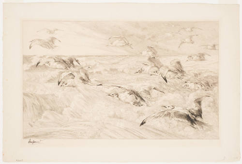 Sea Gulls [Les Mouettes]