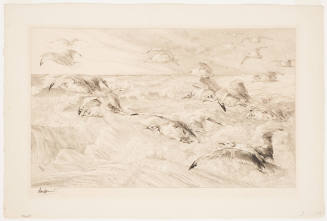 Sea Gulls [Les Mouettes]