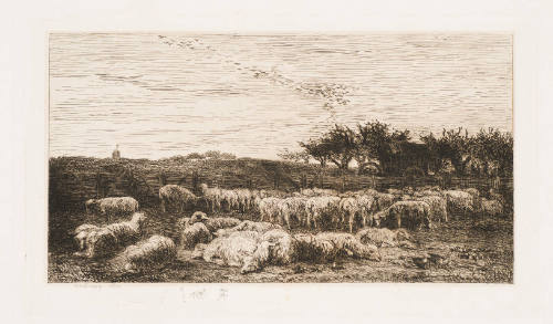 The Big Park at Moutons [Le Grand Parc à Moutons]