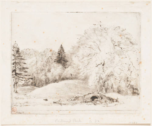 View in Richmond Park