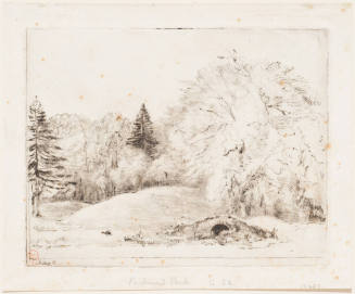 View in Richmond Park