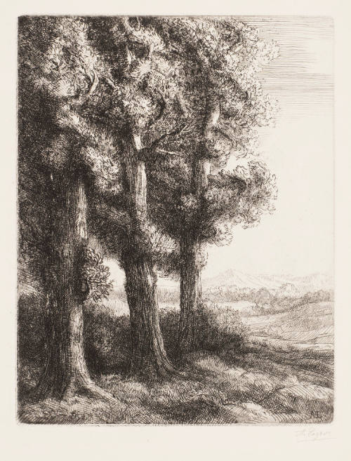 Edge of the Woods [Coin d'un bois]