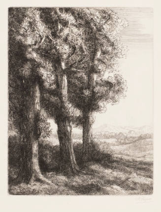 Edge of the Woods [Coin d'un bois]